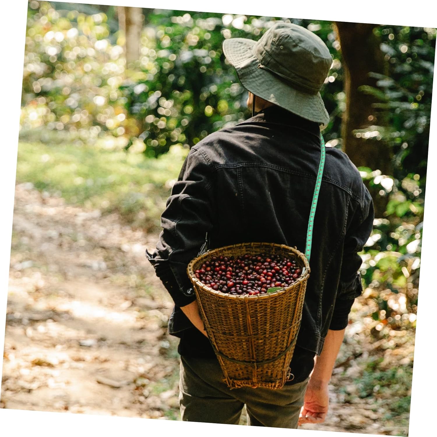 POPETPOP 20pcs Bungee Straps Assorted Heavy Duty Bungee Cords Hooks and Loops Trunk Net Towing Straps