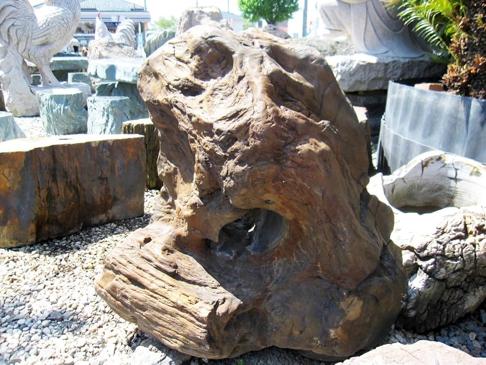 秋田産　珪化木　57キロ　木化石　庭石　鑑賞石　石　庭　ガーデニング　置物 木化石（珪化木）秋田産 庭石、ガーデニング置物
