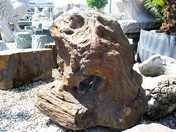 珪化木 木の化石 化石 2個セット 置物 OAK Petrified Wood 【珪化木 Accessory Tray 「WS001」】 ー