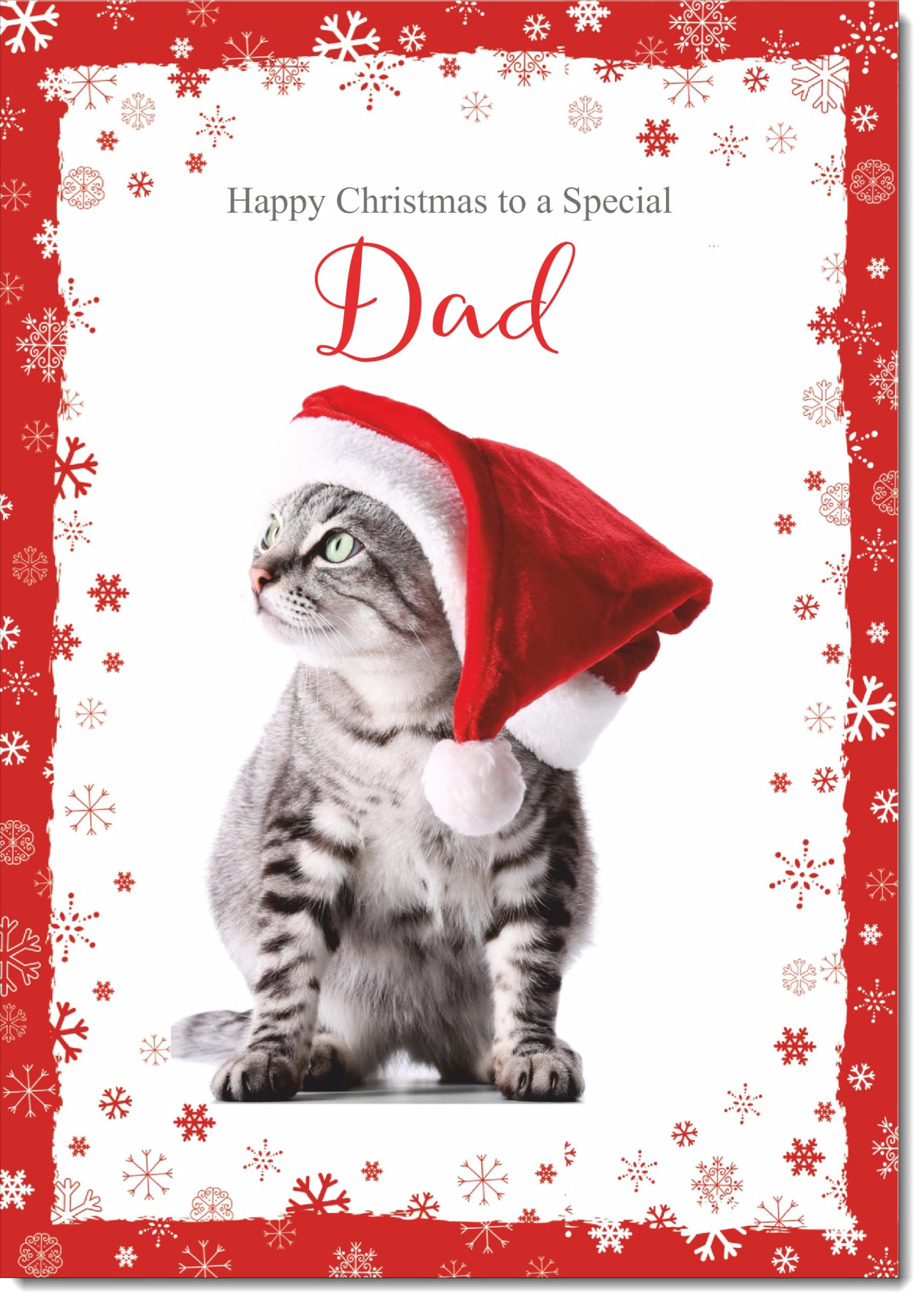 doodlecards Dad Christmas Card Kitten in a Santa Hat Large A4 Size Christmas Card for Dad with Plain Envelope — image 1