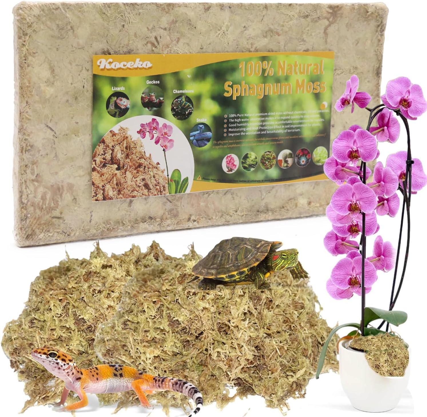 Natural Sphagnum Moss for Plants - Orchid Potting Mix Peat Moss Carnivorous Dried Bark for Sarracenia, Gardening Succulents Reptiles Decorating Terrariums Potted Propagation (10QT)