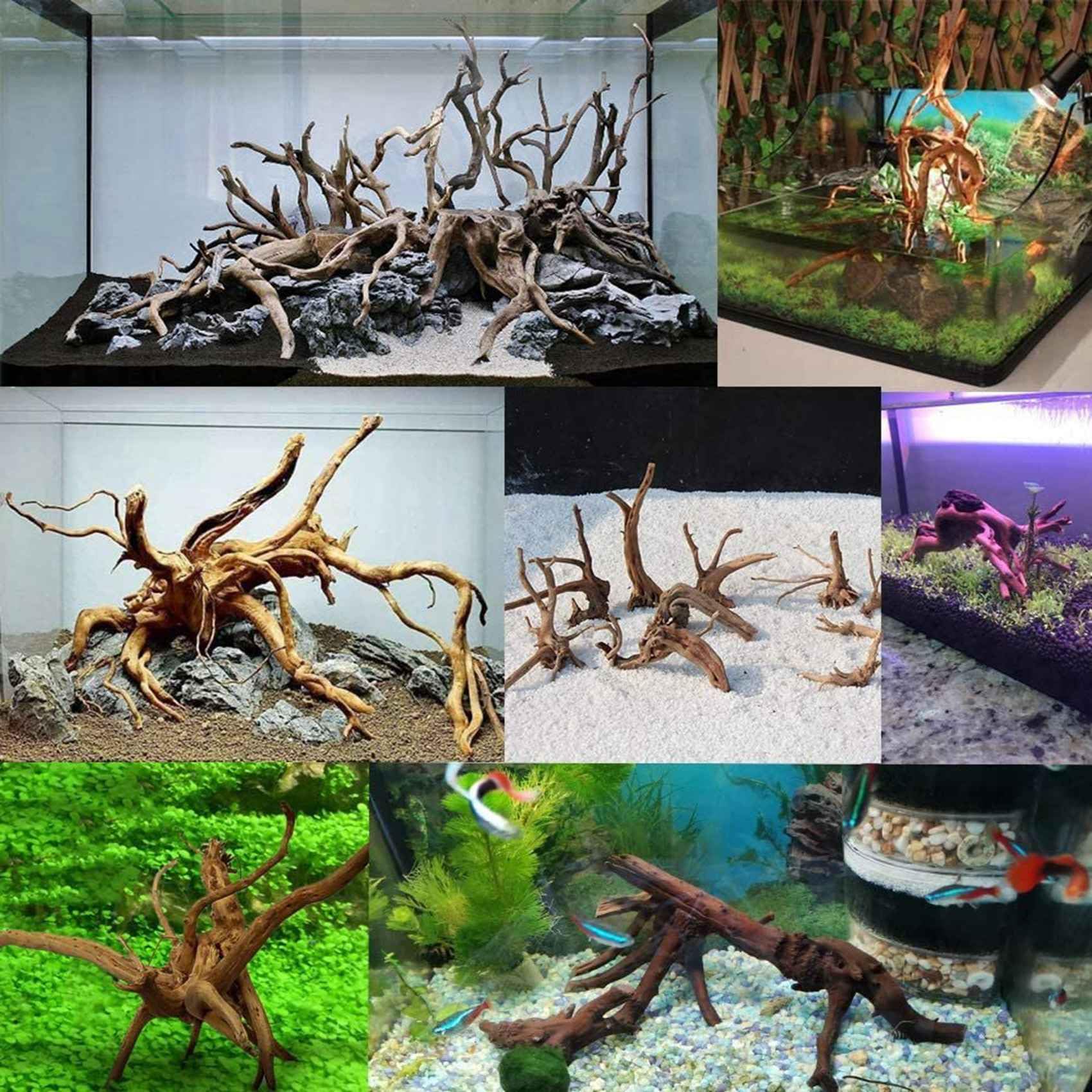 LAXED Mini Driftwood per acquario, rami di legno naturale, decorazioni per acquari, rettili, d'albero in legno naturale, confezione da 10