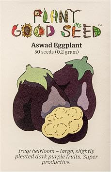 Organic Aswad Eggplant Seeds for Planting 50 Count | Iraqi Heirloom Eggplant, Huge Glossy Dark Fruits, Creamy Mild Flesh for Roasting and Baba Ghanoush, Heat Loving, Non-GMO
