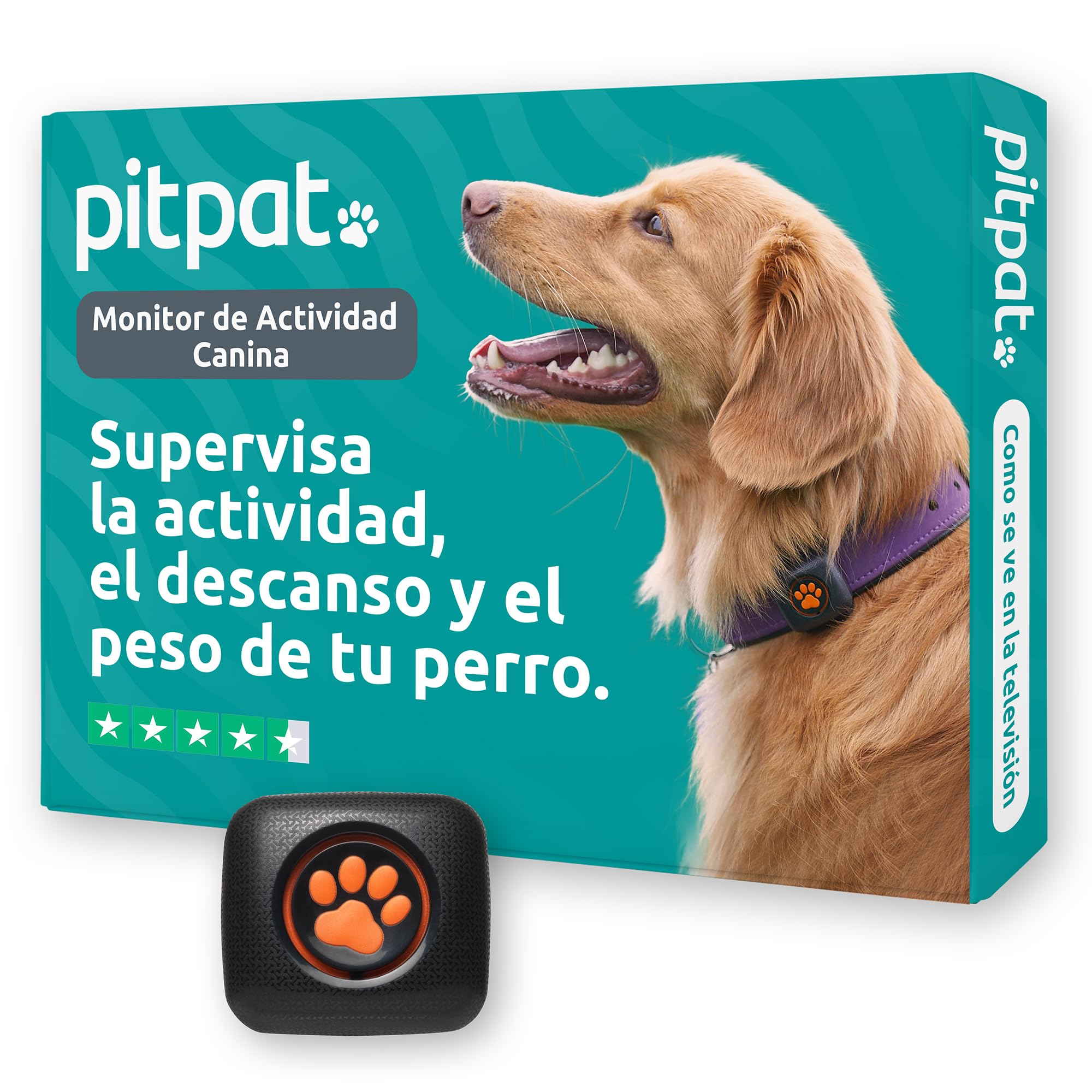 PitPat Rastreador de Actividad y Ejercicio para Perros (Sin GPS) - Inteligente, 100% Impermeable - Adecuado para Todos los Perros