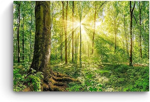 Miniatura 3 de Startonight Lienzo decorativo para pared, paisaje psicodélico en Rumania, árboles verdes, naturaleza, bosque, cuadro grande, enmarcado de 32 x 48