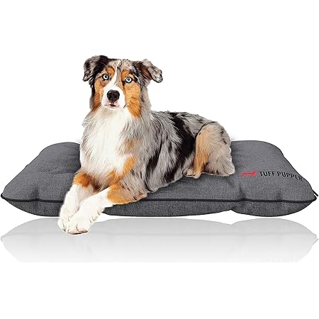 scratch proof dog beds