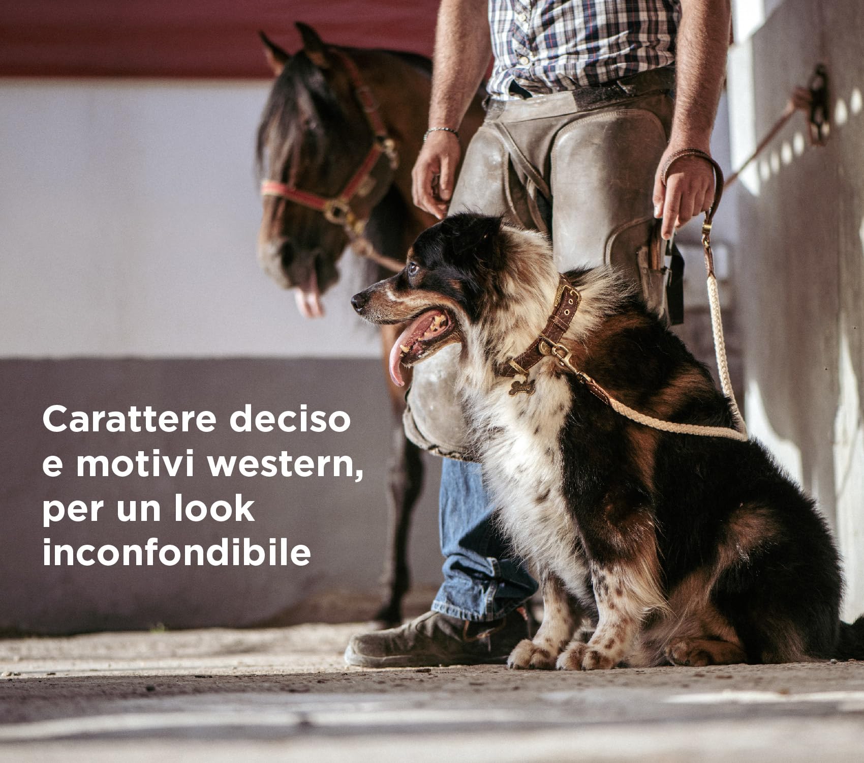 MyFamily Guinzaglio per Cane in Vera Pelle Italiana Made in Italy, Finiture Metalliche in Argento Antico, Pratico e Confortevole, Fatto a Mano, Collezione El Paso