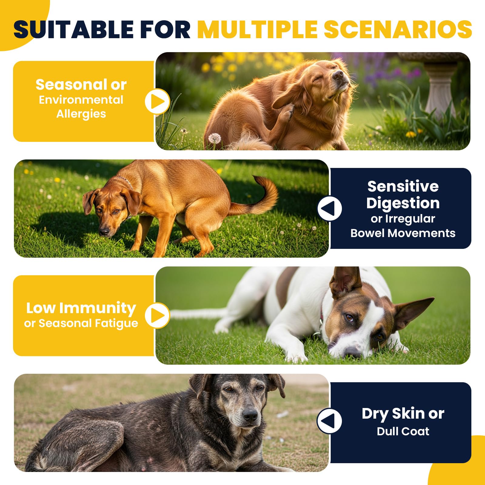 Dog Allergy Chews Probiotics for Dogs Yeast — view 5