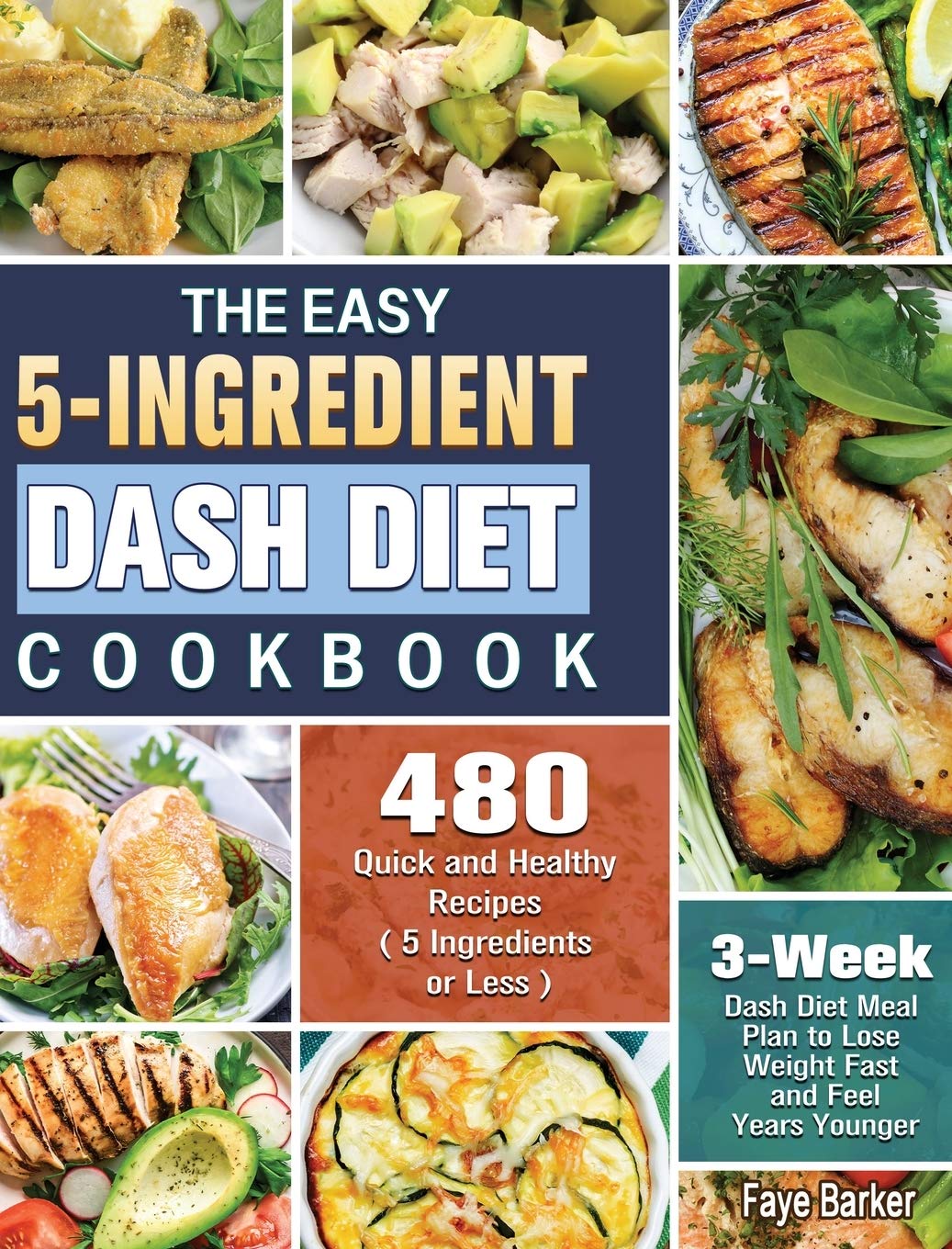 Buy The Easy 5Ingredient Dash Diet Cookbook 480 Quick and Healthy