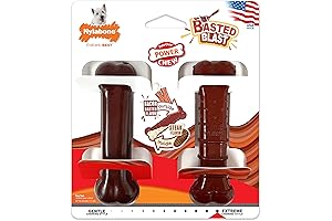 Nylabone Power Chew Classic Bone Chew Toy for Aggressive Chewers