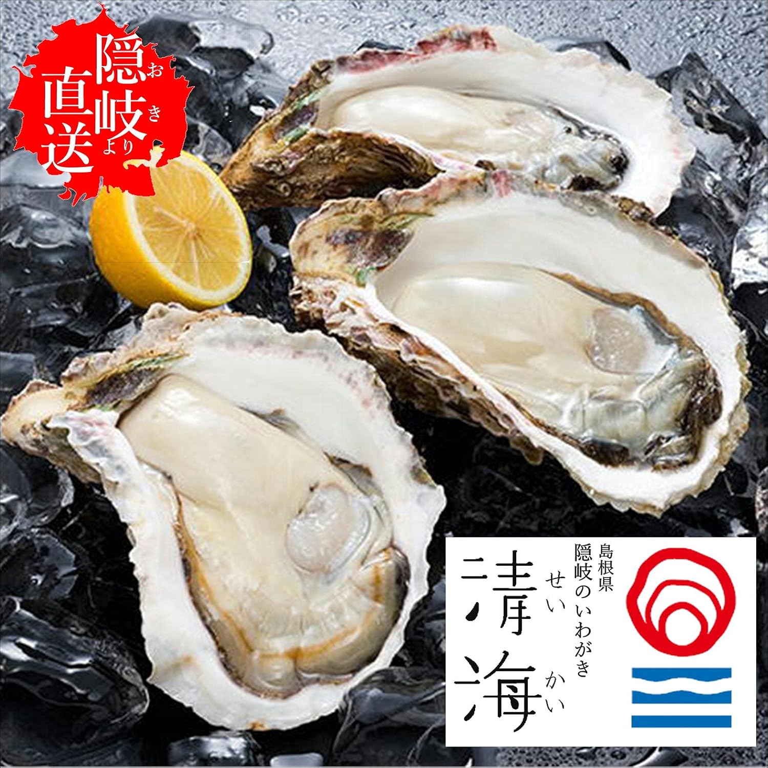 爆買い送料無料 隠岐のいわがき 清海 M 5個セット Fucoa Cl