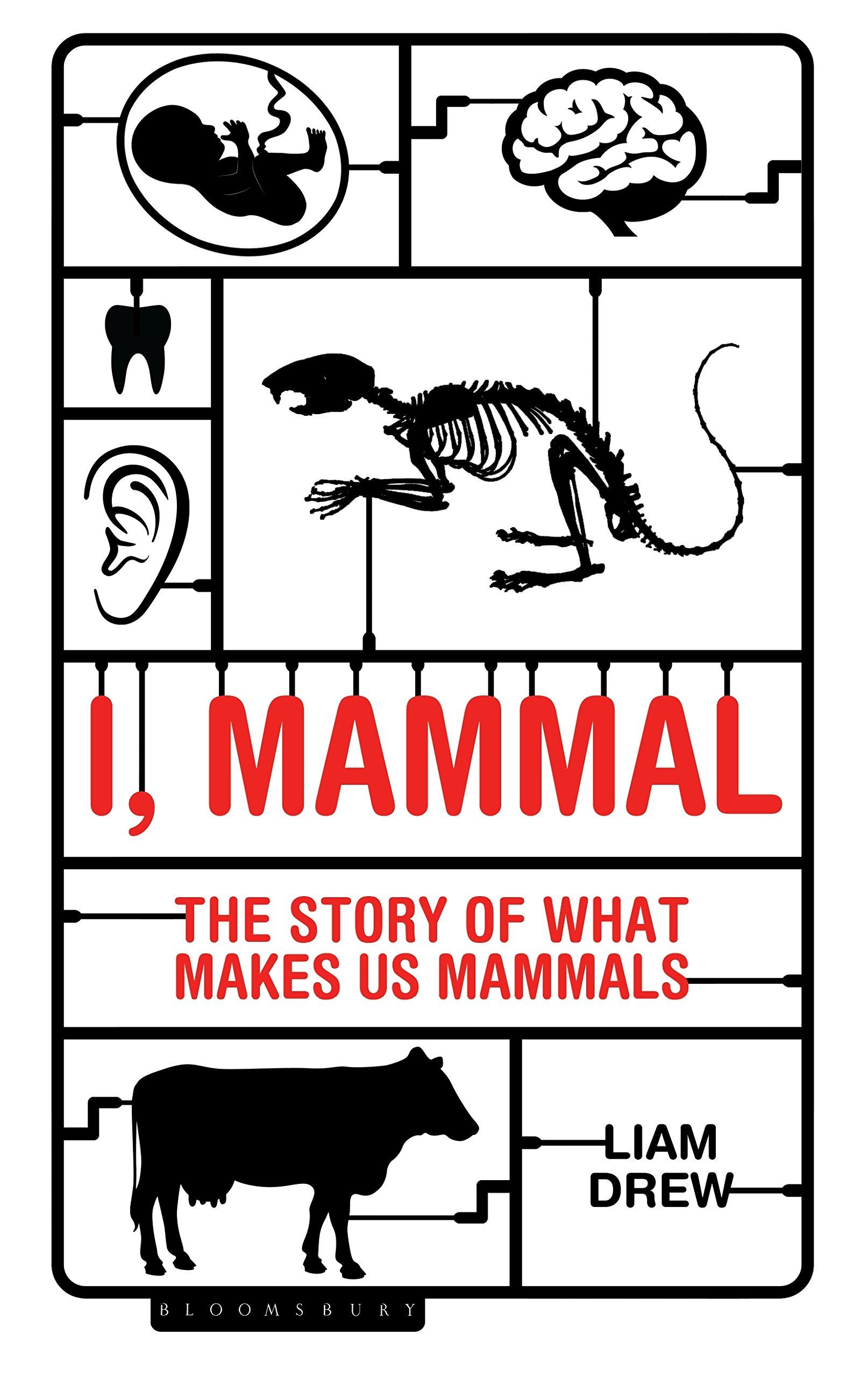 I, Mammal The Story of What Makes Us Mammals by Liam Drew (Paperback Book)