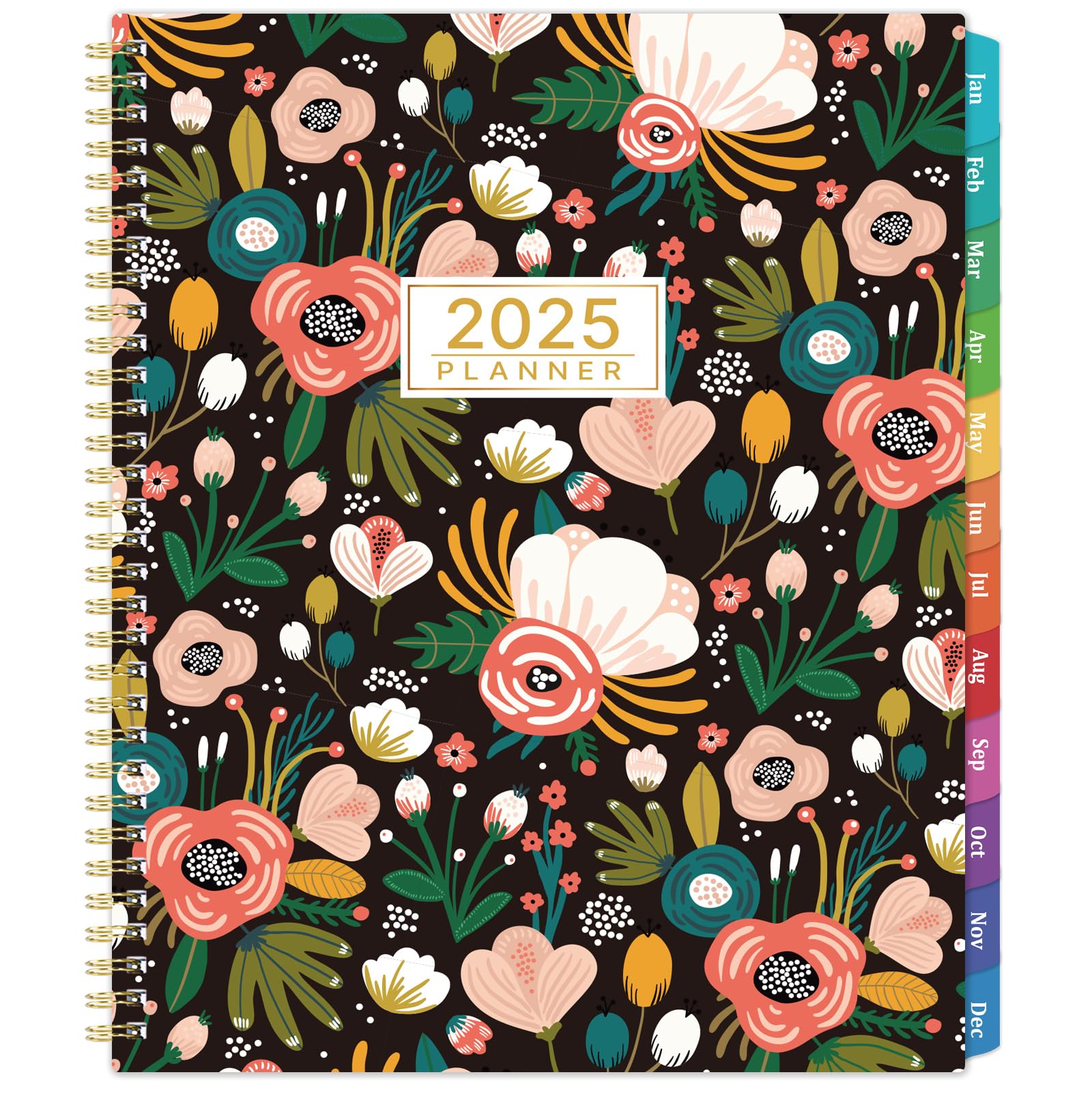 Buy 2025 Planner 2025 Weekly Monthly Planner from JAN.2025 DEC.2025