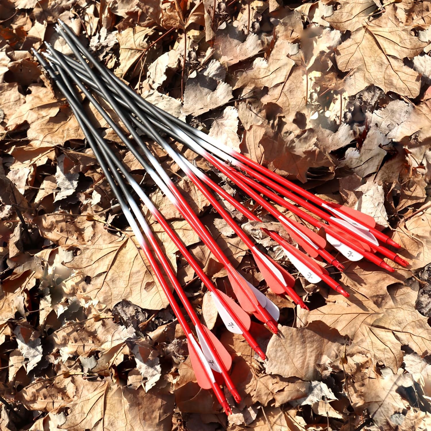 S F Flèches de Chasse d'entraînement en Carbone Spine 500 pour arcs à poulies et arcs Classiques (Pack de 12)