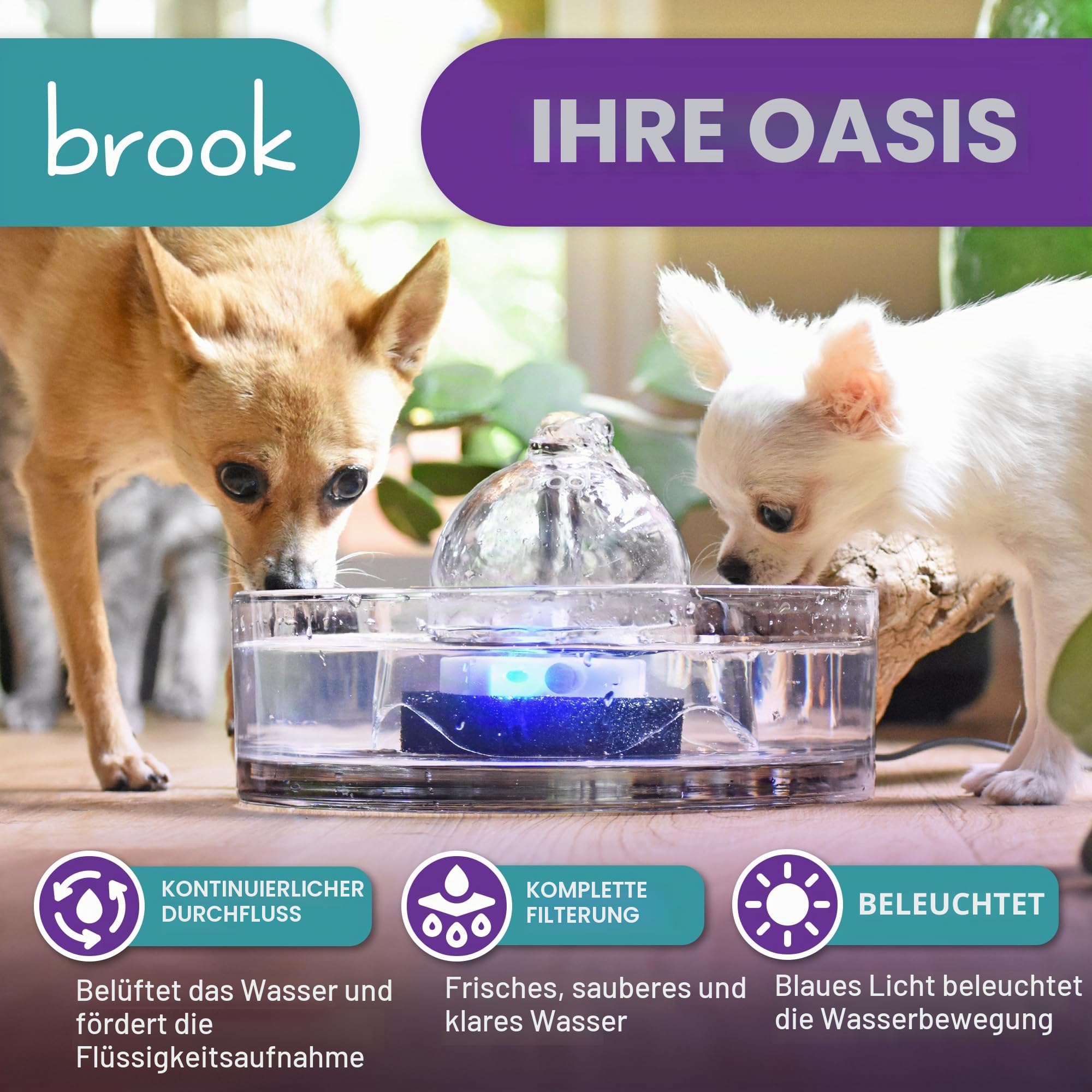 Brook Glas Haustier Brunnen (2,551.5 g/2.7L) - Katze & Hund Wasserbrunnen - Glas Katzenbrunnen & Automatischer Wasserspender zum Trinken