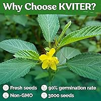 Vista 5 de KVITER 3000 semillas de espinaca egipcia Molokhia (Corchorus Olitorius) - también conocidas como semillas de hojas de yute, Ewedu, día de Rau