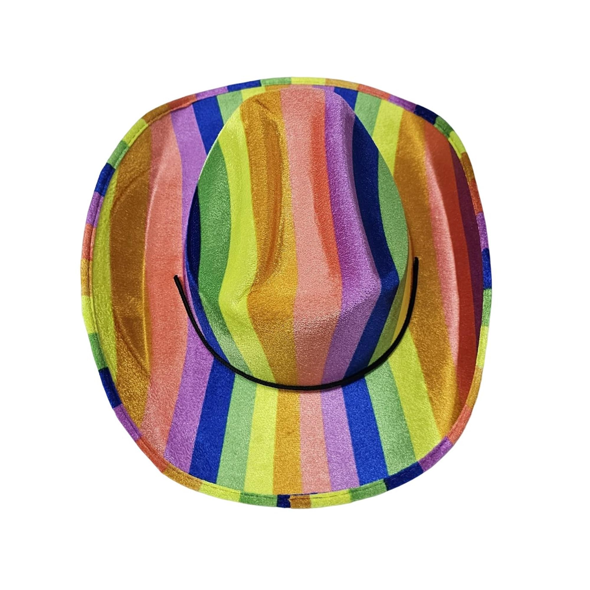 The Fancy Dress® Adults Gay Pride Carnival Cowboy Gangster Rainbow Top Felt Hat LGBT Fancy Dress Party Accessory (Cowboy)