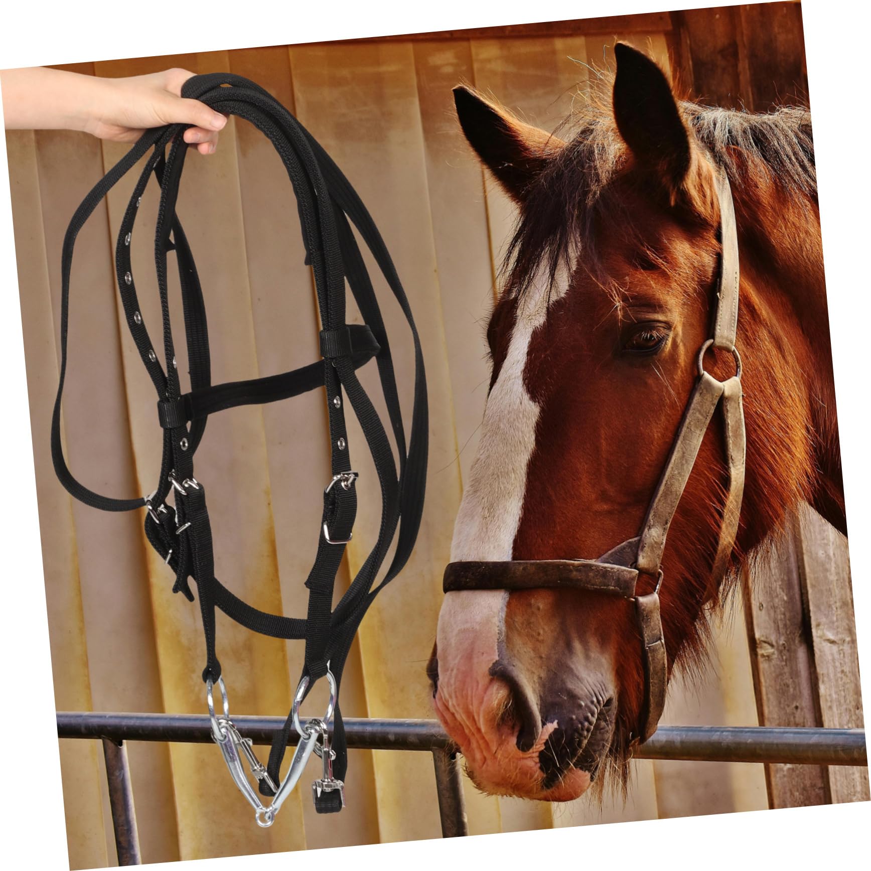 Cabestro de Cuerda para Caballos Grande de Nailon Negro | Entrenamiento y Equitación, Apto para Caballos de Tamaño Pequeño, Diseño Cómodo Antimordida