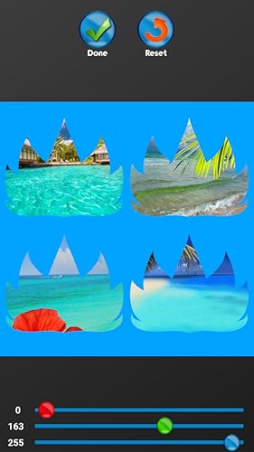 Colagem tropical da foto