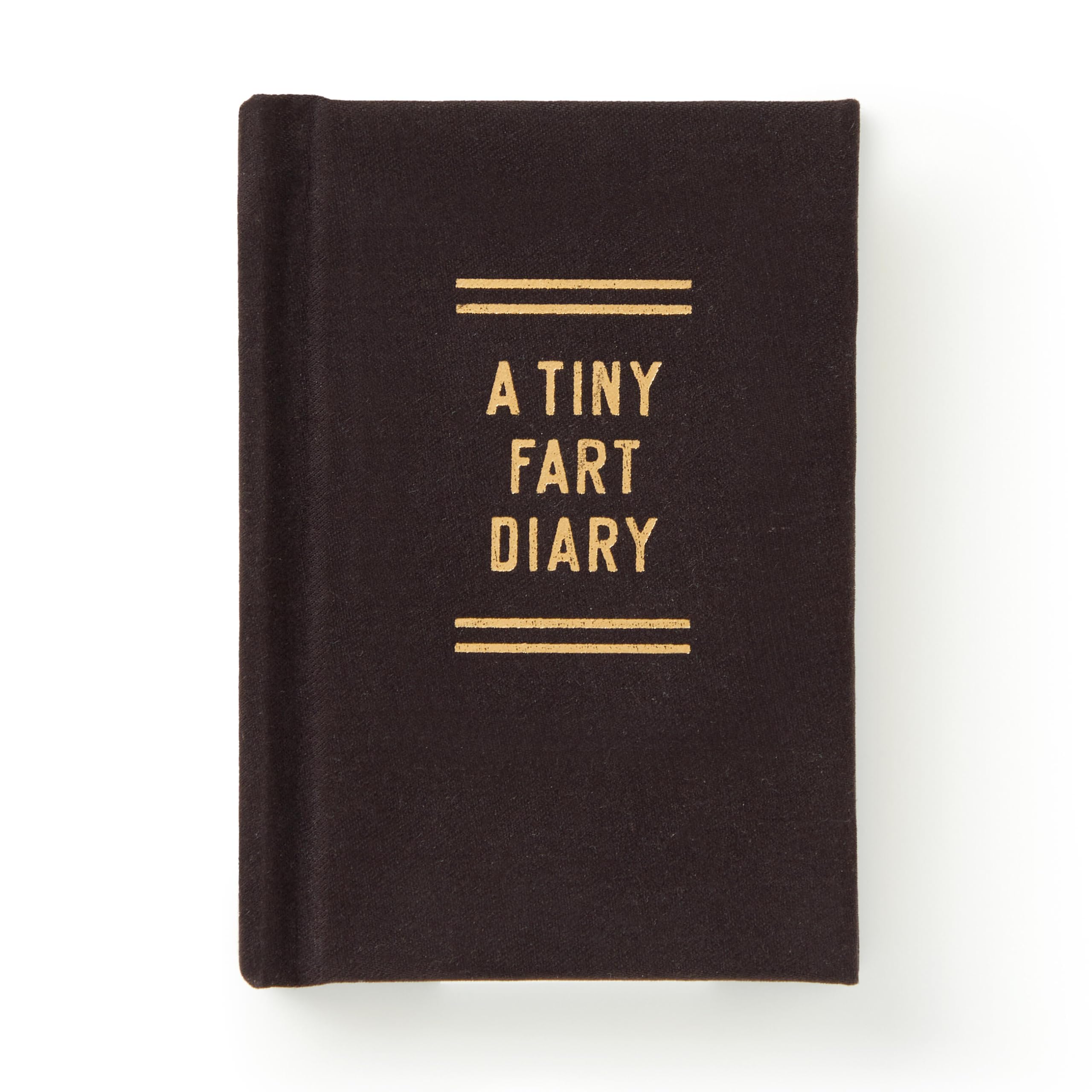 A Tiny Fart Diary (Tiny Diaries)
