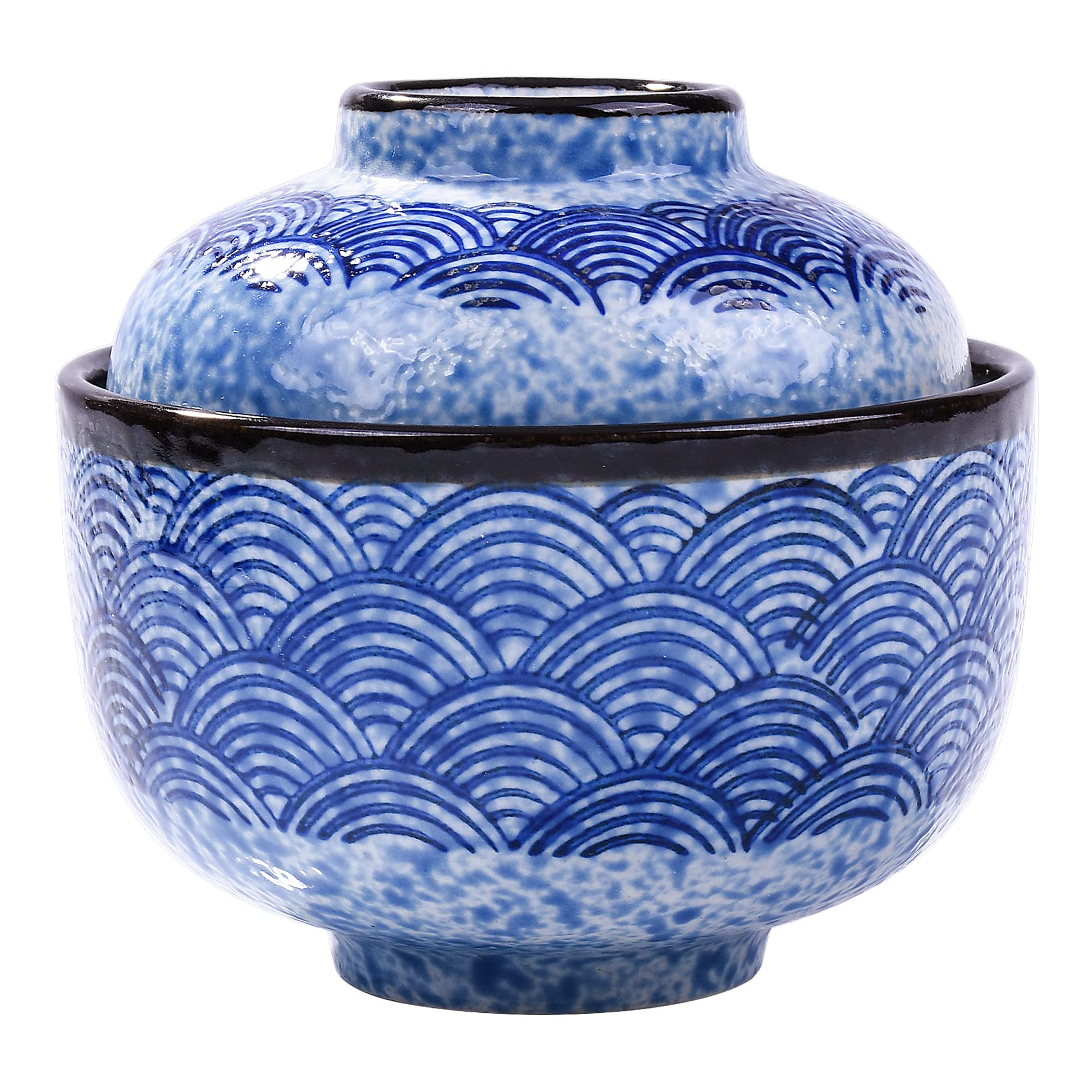 Amazon.com | Cerficer Small Covered Stewpot 8.5oz Blue Wave