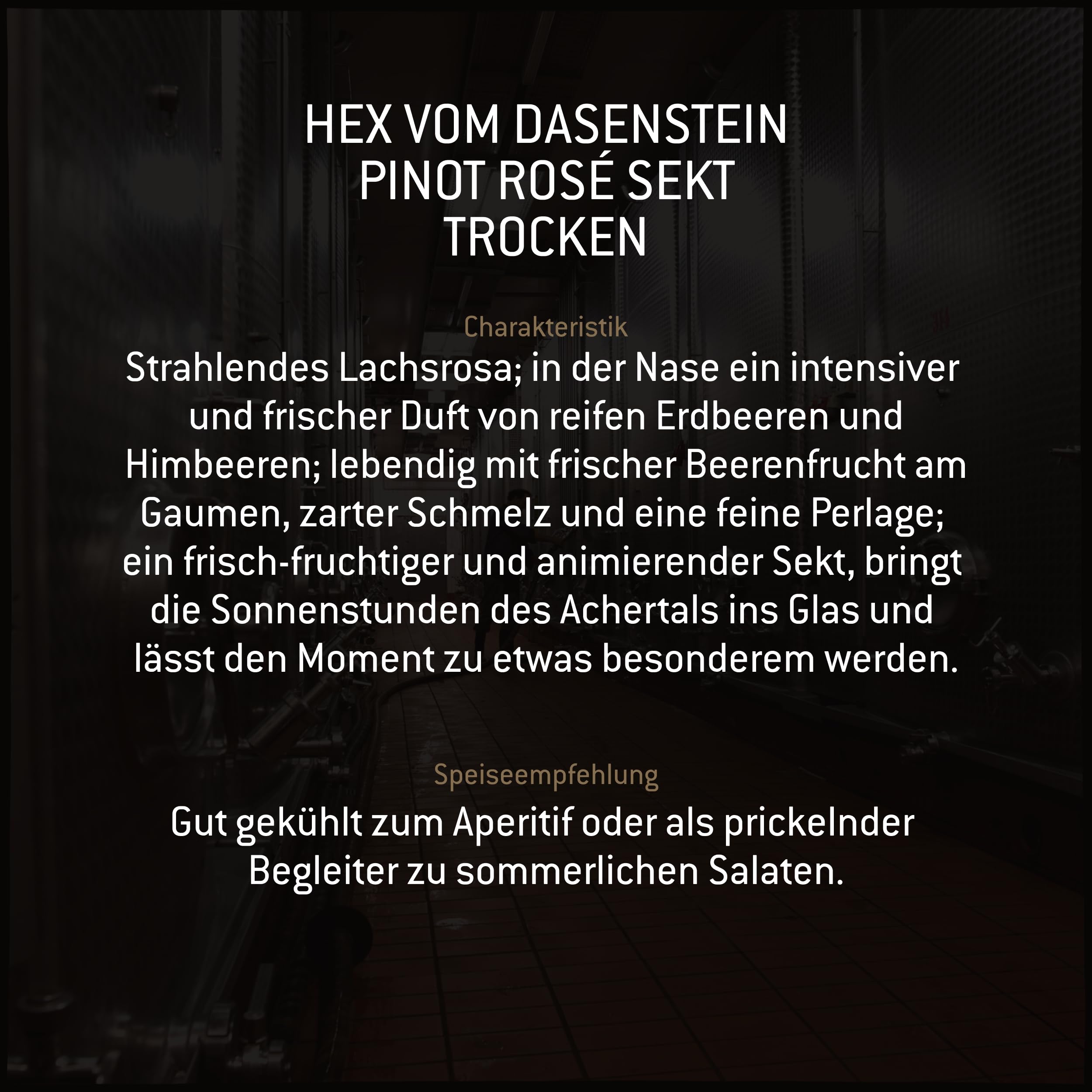 Hex vom Dasenstein Pinot Sekt Probierpaket 3 x 0,75l - Klassische Flaschengärung Winzersekt aus Baden