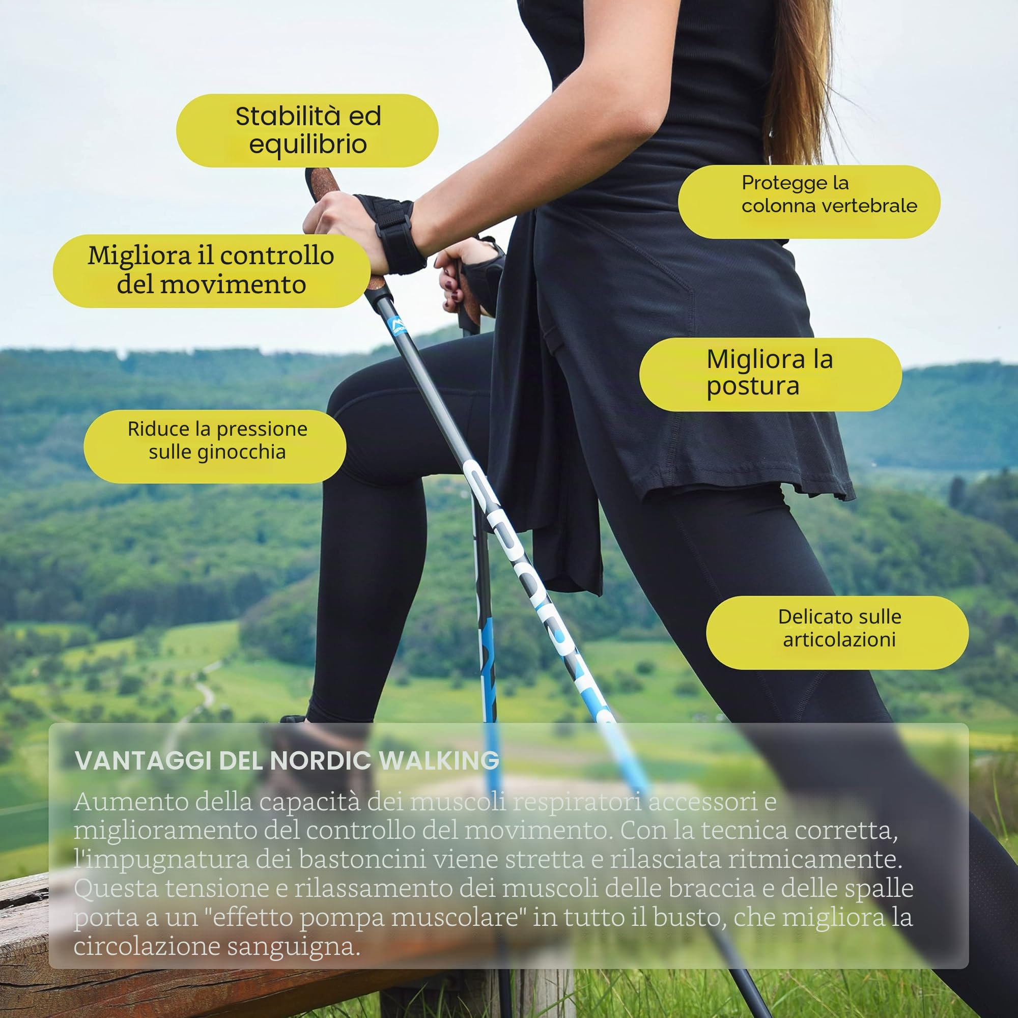 MSPORTS Bastoncini Nordic Walking Premium Antracite | Selezionabile con Borsa (Bastoncini Nordic Walking Premium - Ultraleggero - Walking Sticks - Antracite/Azzurro)