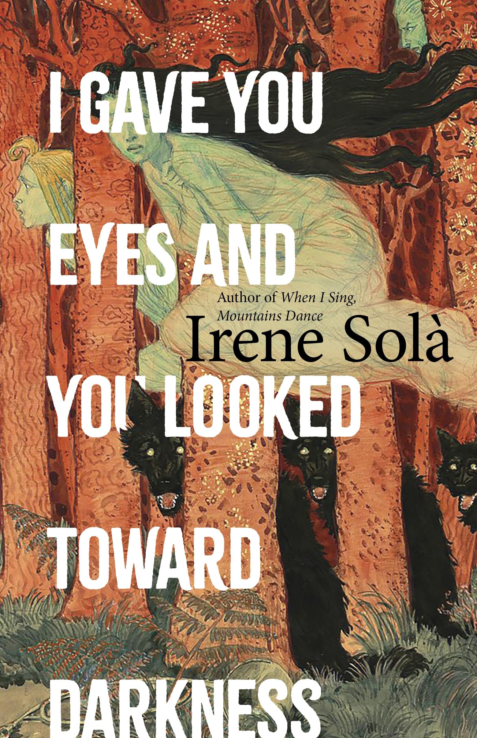 Irene Sola I Gave You Eyes & You Looked Toward Darkness Hardback Book