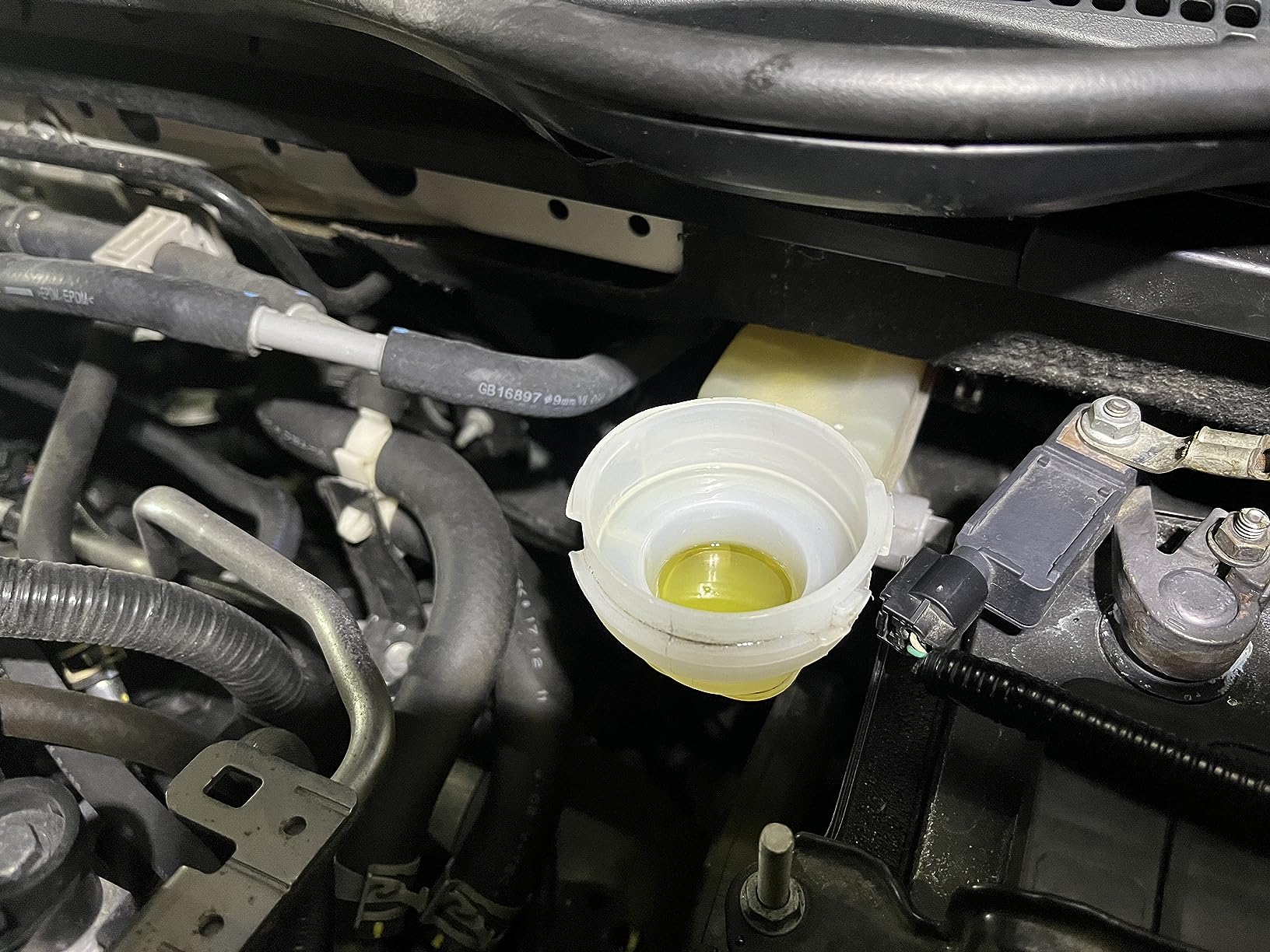 Well Worth the money