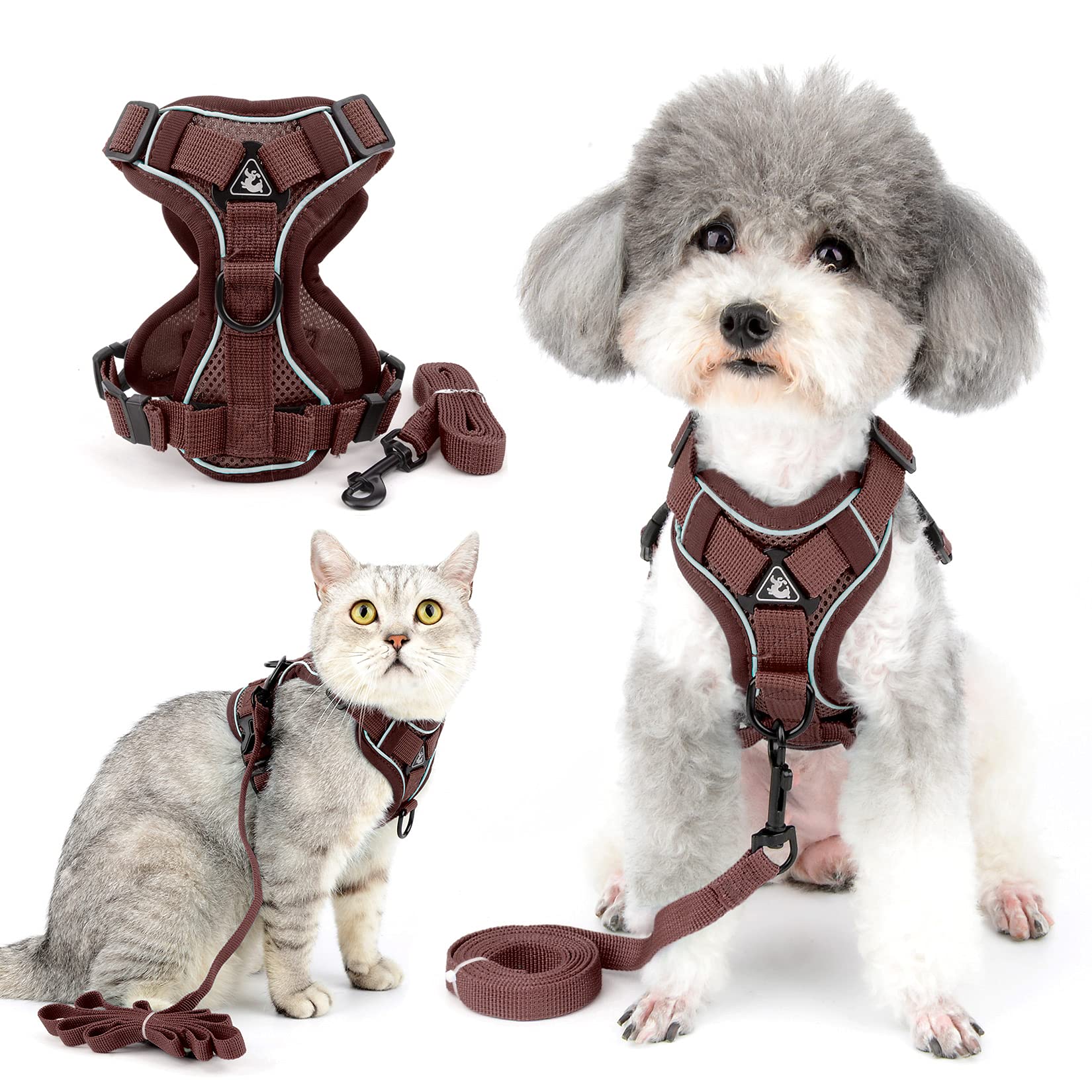 Ranphy No Pull Small Dog Harnesss and Leash Set Reflective Pet Step In Vest Escape Proof Puppy Cat Harnesses Breathable Adjusatble Chest Harness Walking Jacket for Outdoor Trainning