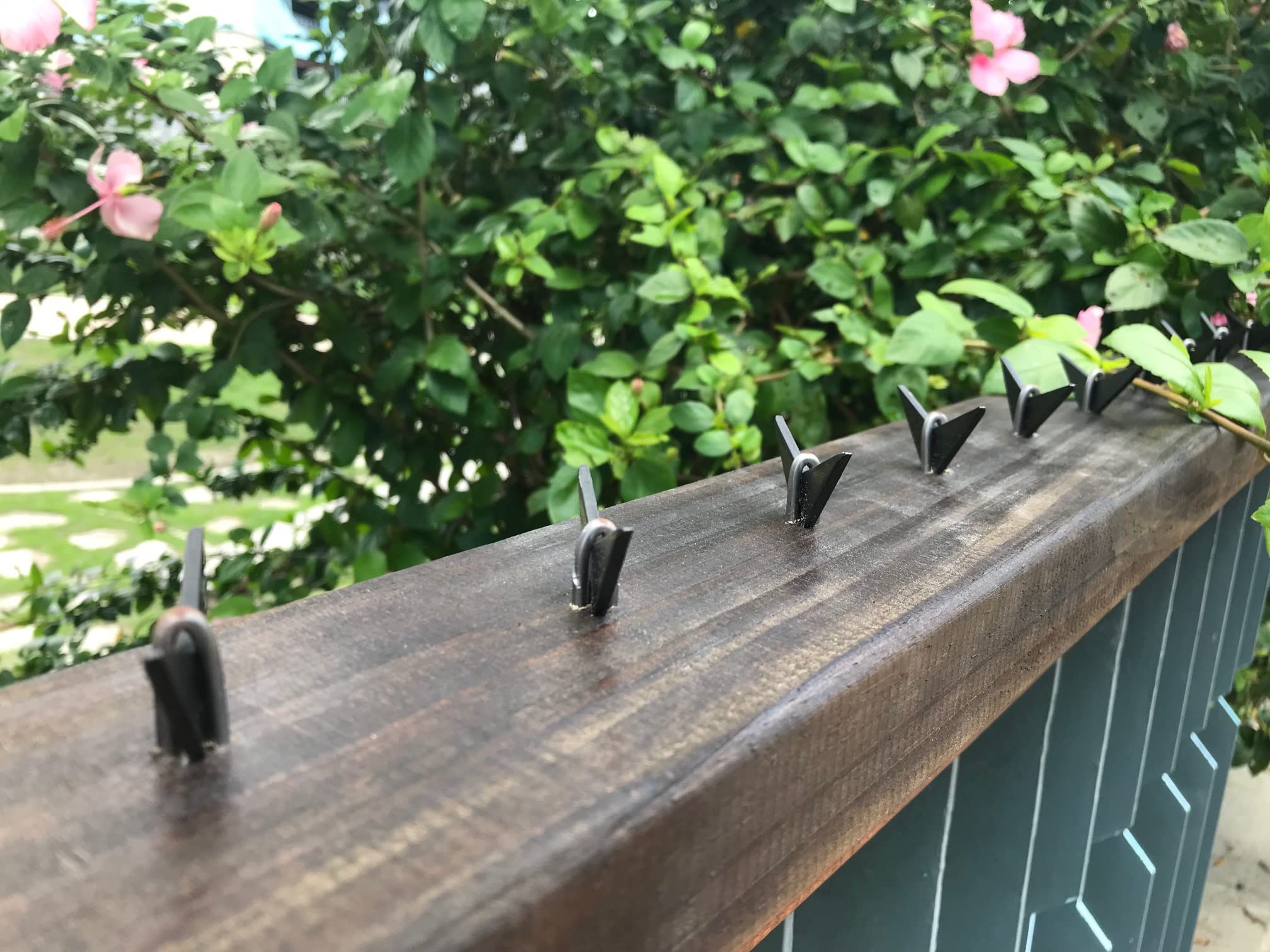 Amazon.com : NeoPRO DIY Triangle Fence Spikes for Anti-Theft Bear