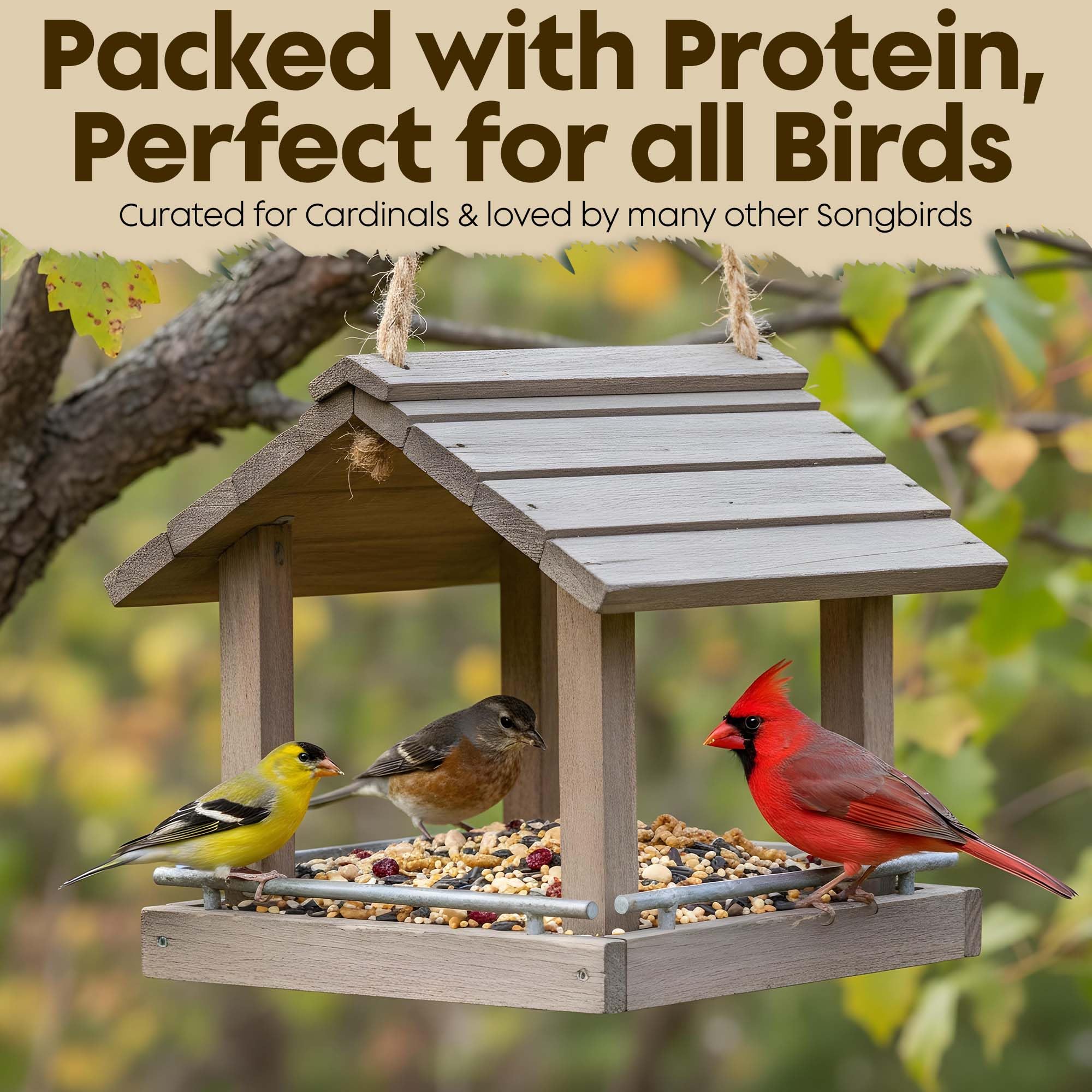 Cardinal - Semillas de pájaros silvestres para pájaros silvestres exteriores, alimento para pájaros cardenales de primera calidad con semillas de girasol, gusanos de harina y cacahuetes, alimento para