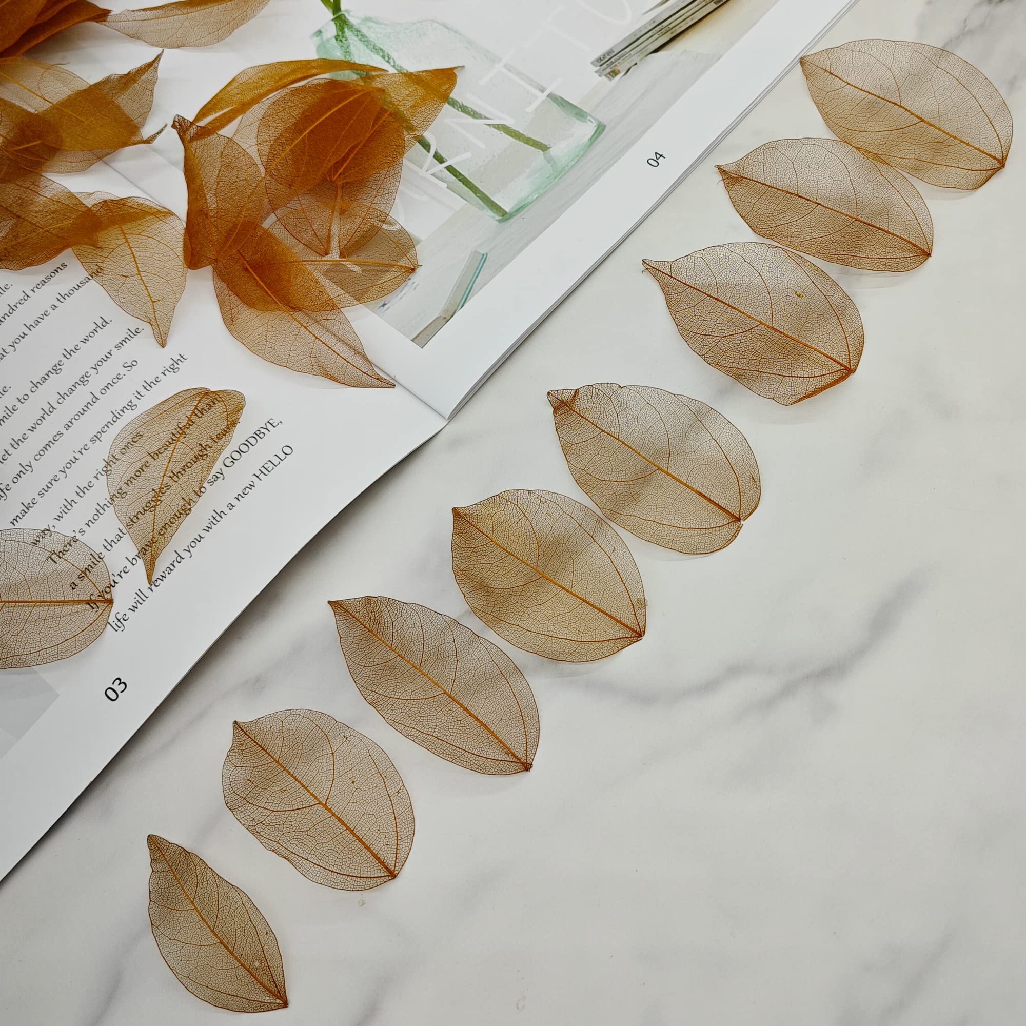 100 Hojas de Esqueleto Naturales y Secos, Hojas esqueléticas al Natural y Mixtas para Scrapbooking, Bricolaje y Cartonaje (marrón C)