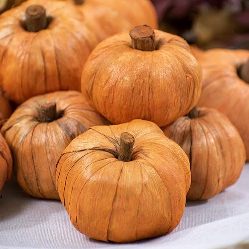 Miniatura 3 de ANDALUCA Jarrón y relleno de cuencos de calabazas en miniatura para decoración y manualidades Decoración del hogar de calabaza de otoño