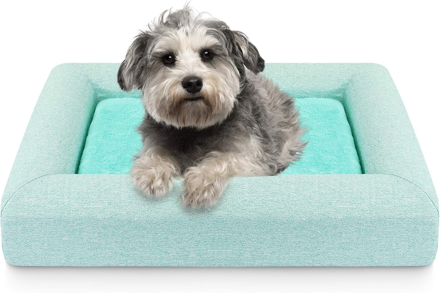 pet bed clearance