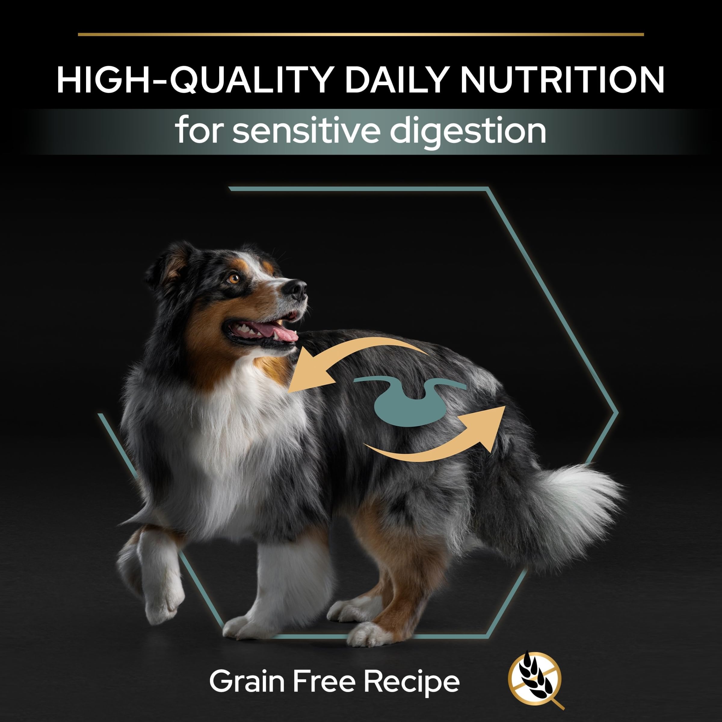 Pro Plan Medium Large Adult Grain Free pienso digestión sin cereales 12 kg
