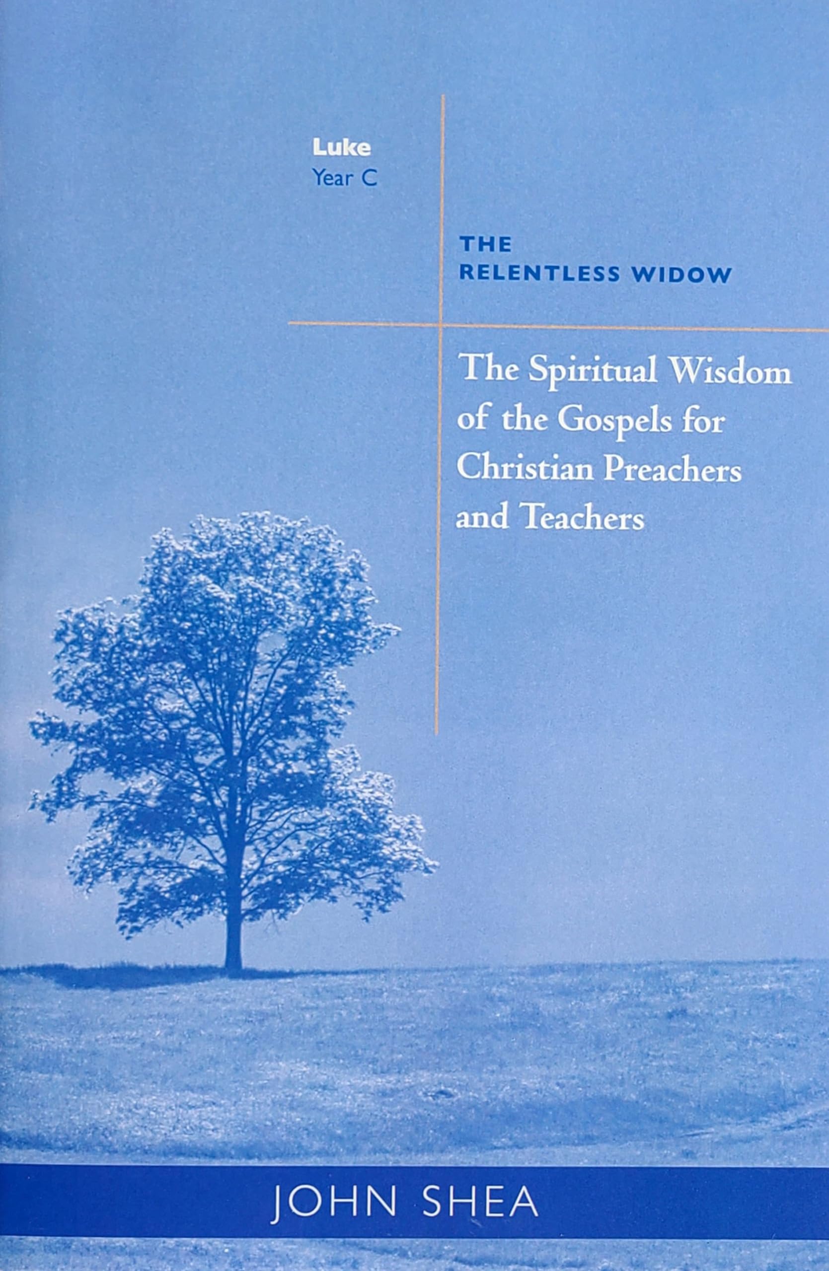 Spiritual Wisdom of the Gospels for Christian Preachers And Teachers: The Relentless Widow, Year C (Volume 3)