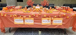 Review Image by Amazon Customer Amazon Customer