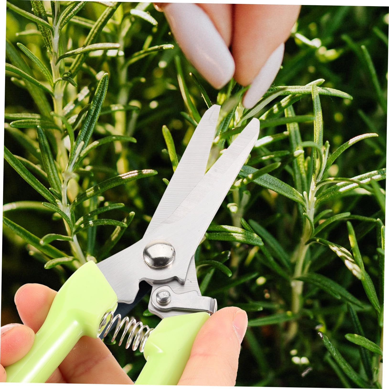 4 Sätze Garten Teilig Pflanzenschneider Blumenschneider Für Gartenarbeit Langlebige Gartenschere Mit Ergonomischem Design Für Präzises Trimmen Von Pflanzen 2 Stück * 4