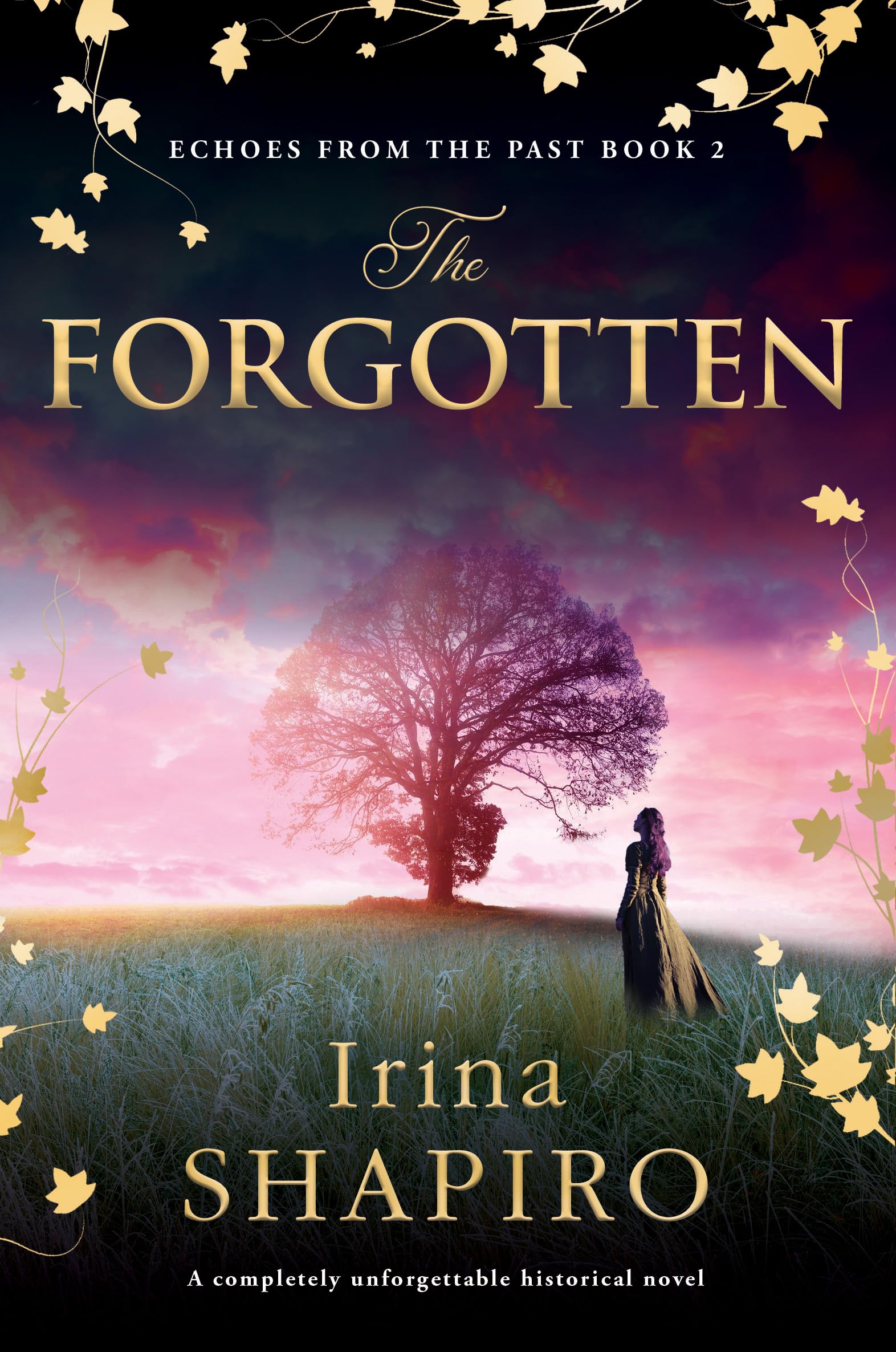 The Forgotten: A completely unforgettable historical novel: 2 (Echoes from the Past)