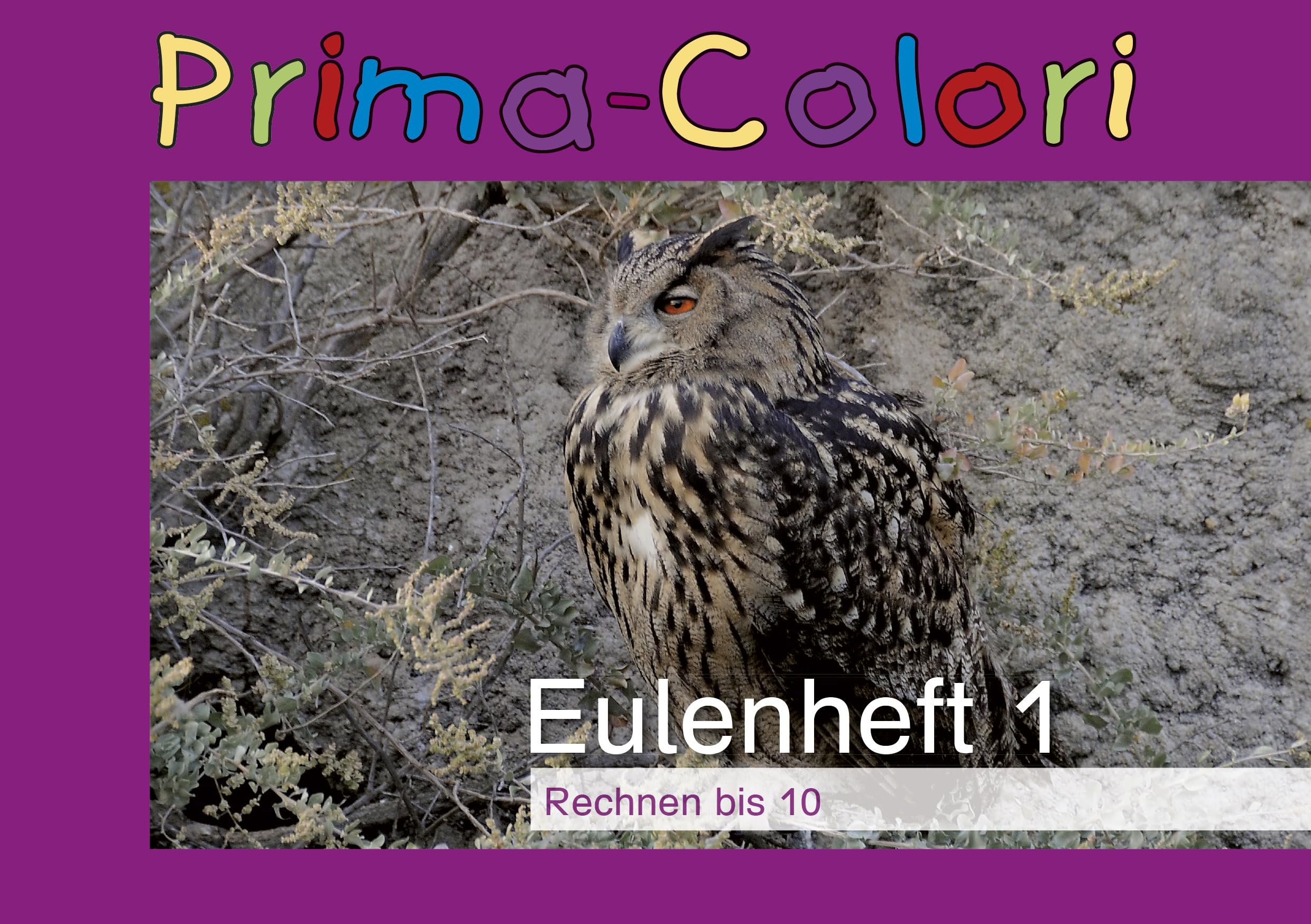 TimeTEX Owl Book 1