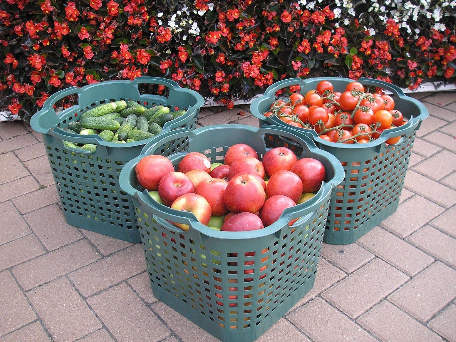 Erntekorb 25 Liter 5er Set Gartenkorb Grün Lebensmittelecht Obstkorb Robust | BURI Kartoffelkorb drehstapelbar aus Kunststoff Made in Germany als Obstkorb, Laubkorb und vielseitiger Gartenkorb