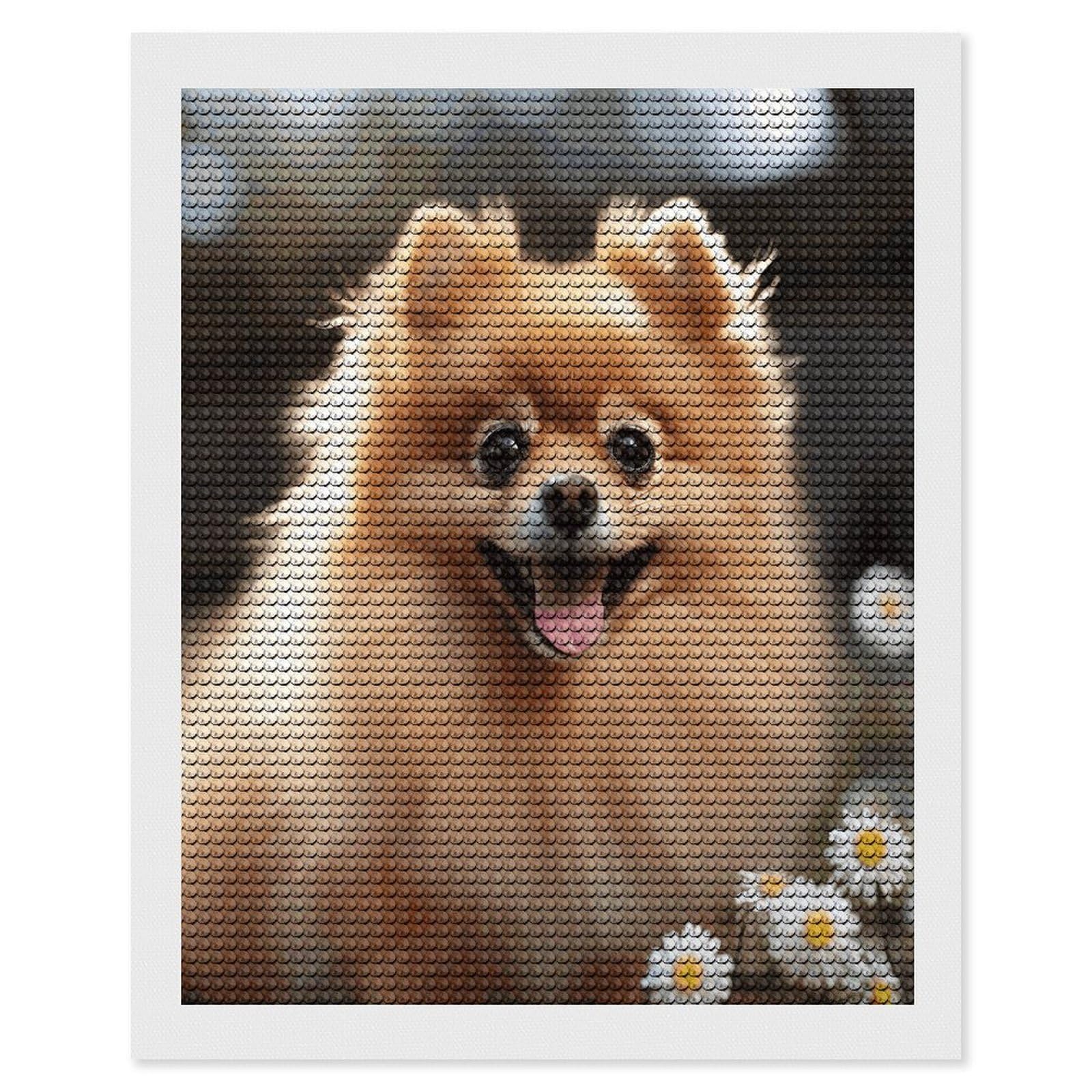 VstaDank Pomeranian Dog Diamond Painting Kits Exquisite DIY Full Round Drill Diamond Dots Painting for Adults Beginner Diamond Photo Paint with Diamond Picture Art Wall Decor 16"x20"