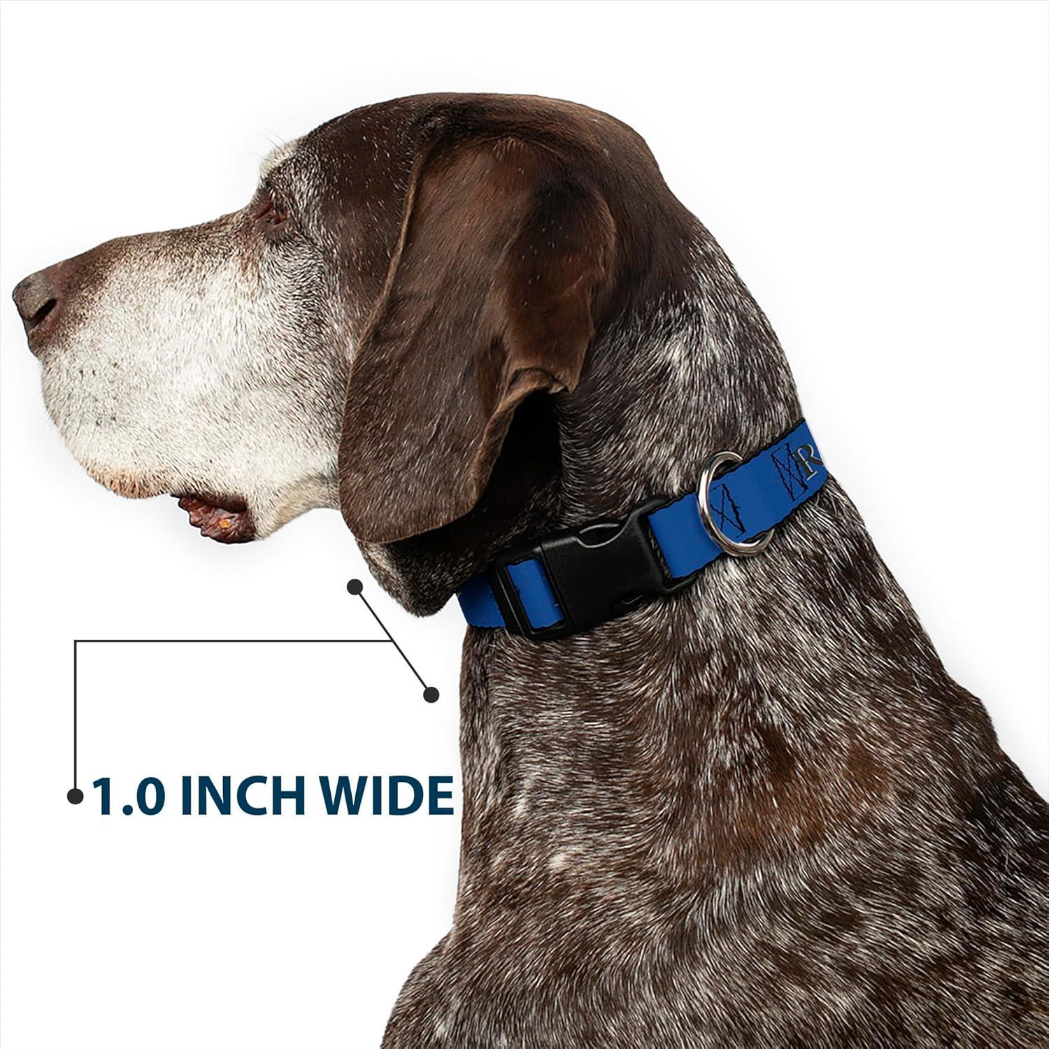 Buckle-Down Dog Collar Plastic Clip Harry Potter Ravenclaw Crest Blue Black 20 to 31 Inches 1.5 Inch Wide