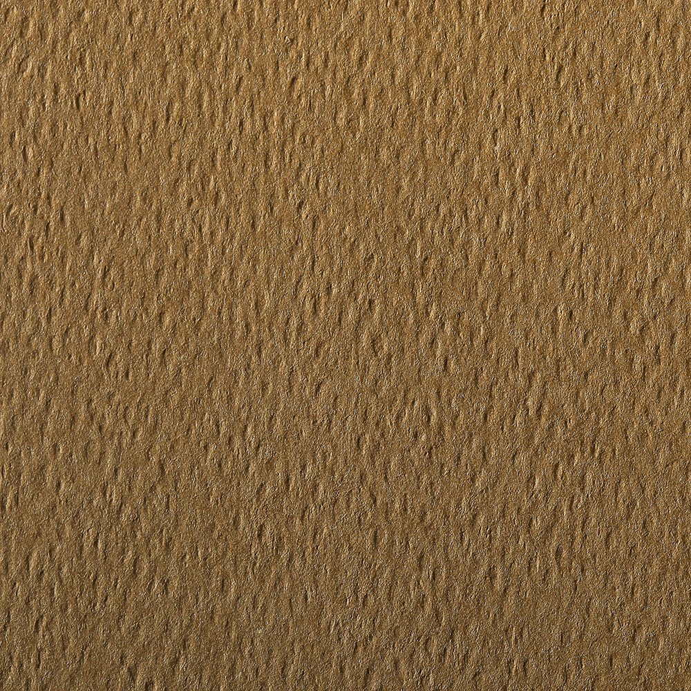 Clairefontaine - Ref 90777C - Etival Coloured Grained Drawing Paper (Pack of 25 Sheets) - A3 (42 x 29.7cm) - 160gsm Cellulose Art Paper - Tobacco - Acid Free, pH Neutral - Image 2