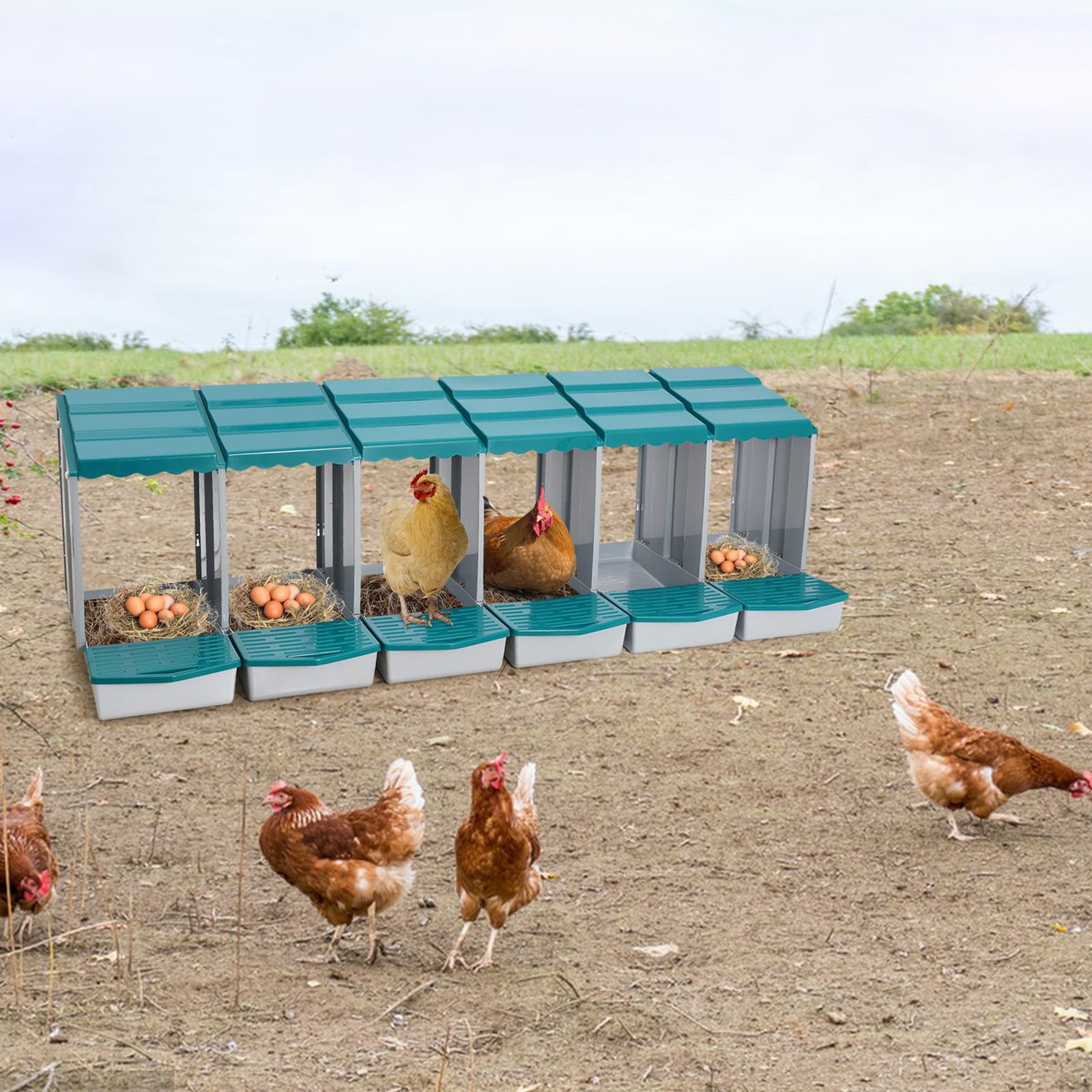 Nido de 6 compartimentos para pollos, nido de pollo con suelo inclinado y orificios de ventilación, accesorios para gallinero, para patio, jardín y gallinero, montaje en pared y suelo (verde 1)