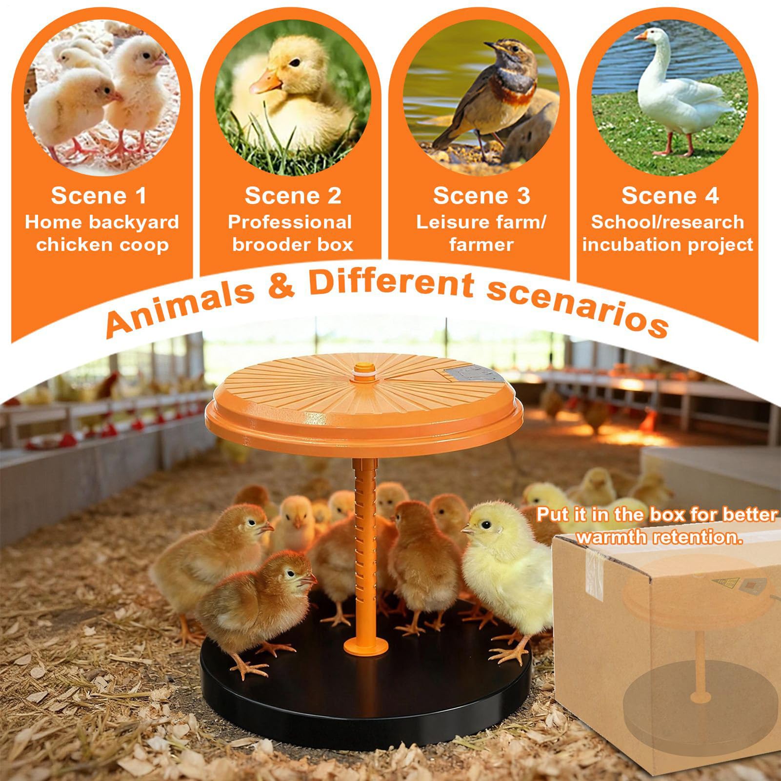 Piastra Riscaldante Piastra Termica Brooder Per Pulcini Da 35W