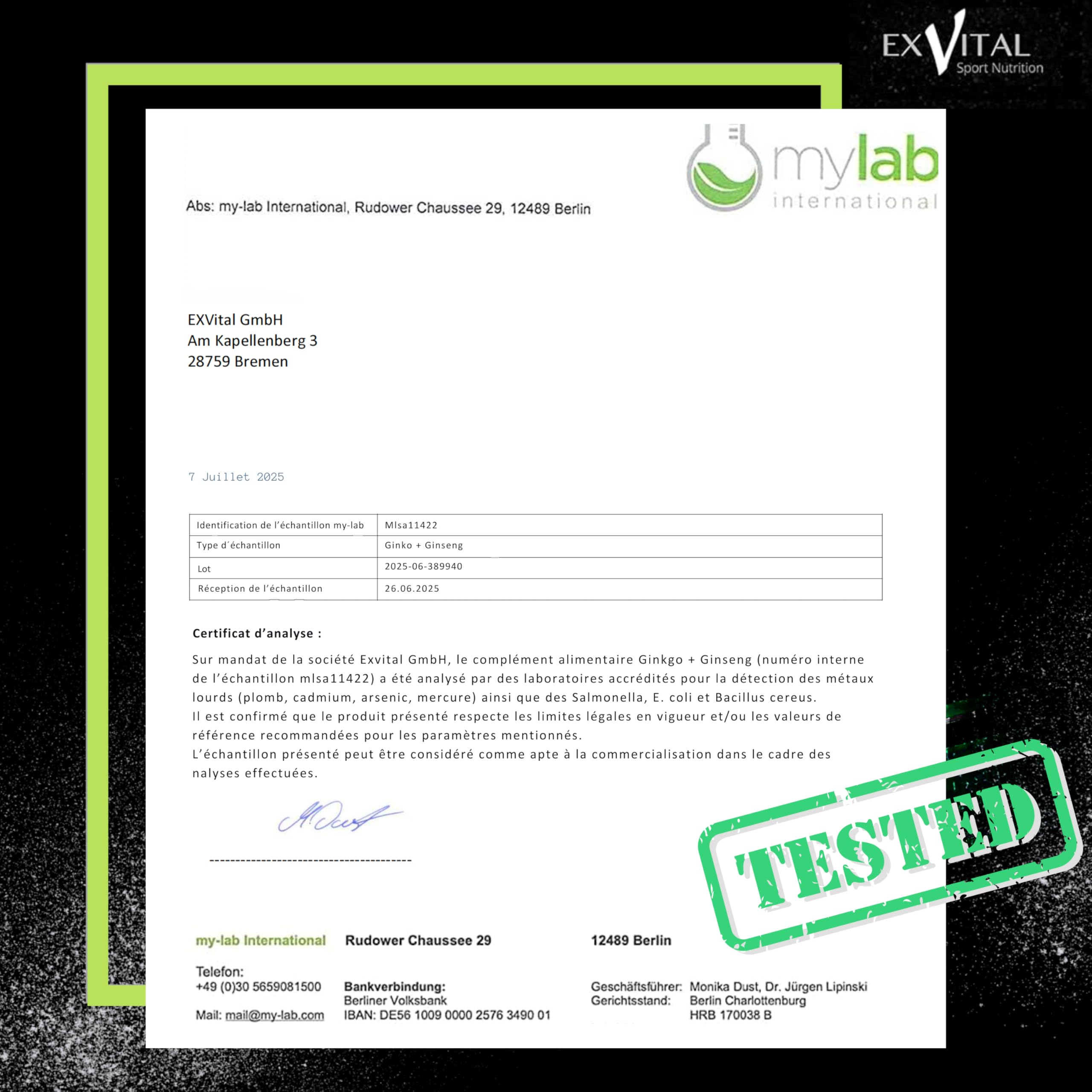 EXVital® Ginkgo + Ginseng, 365 comprimés, extraits de plantes 50:1, hautement dosé – Ginkgo Biloba & Ginseng coréen – Testé en laboratoire – Végan