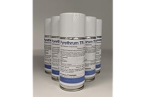 Pyrethrum TR 6ct Backlapping Compound