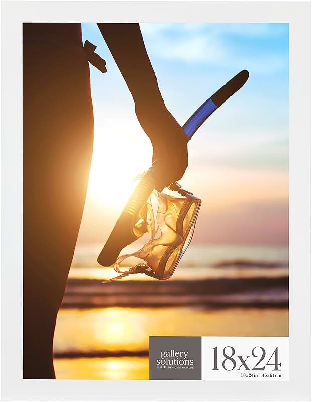 Amazon.ca: 18x24 poster frame